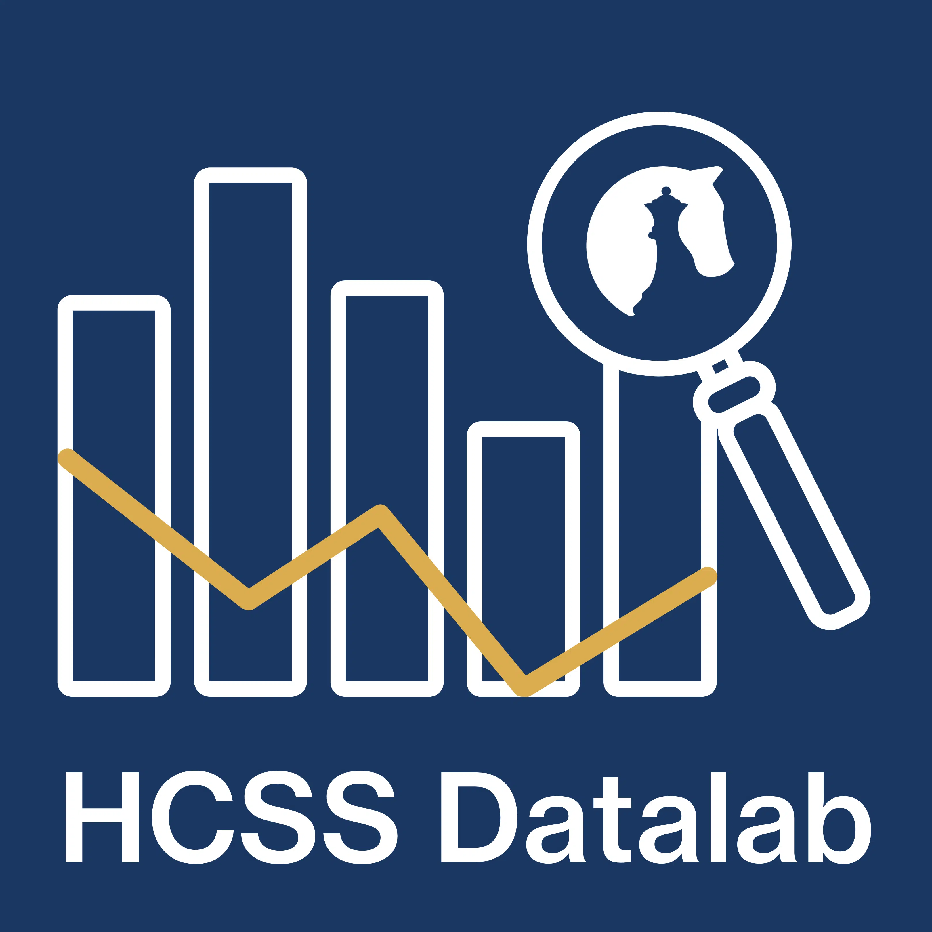 HCSS Datalab