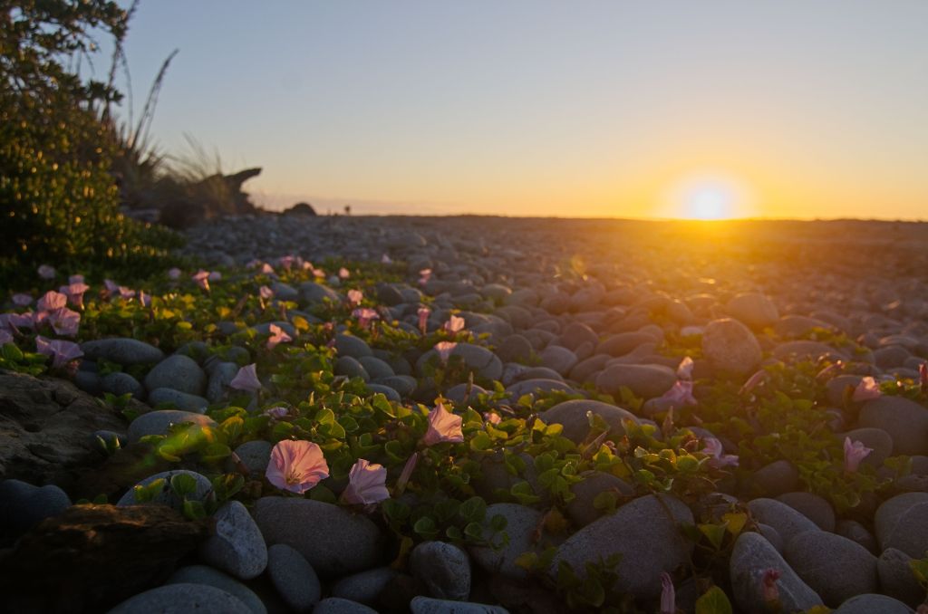 What will 2026 bring? Reflections on Blogging in the Pain space