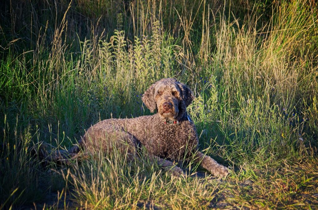 Autonomy not assumptions: Missing pieces in pain self-management