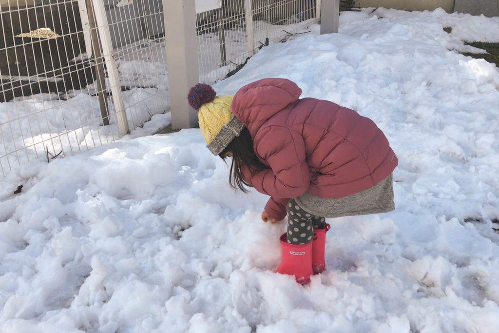 ホワイトバランスで雪を白く補正