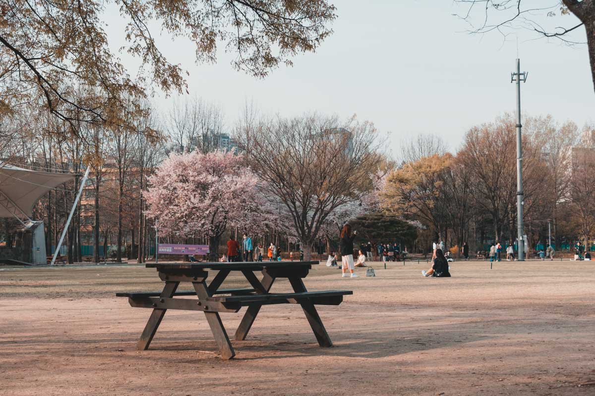 Seoul Forest table de pique-nique