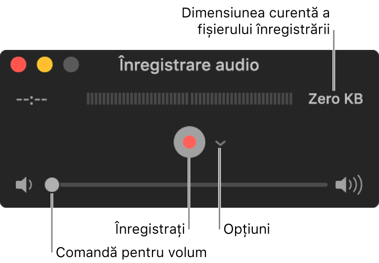 Fereastra Înregistrare audio, cu butonul Înregistrează și meniul pop-up Opțiuni în centrul ferestrei și comanda de volum în partea de jos.