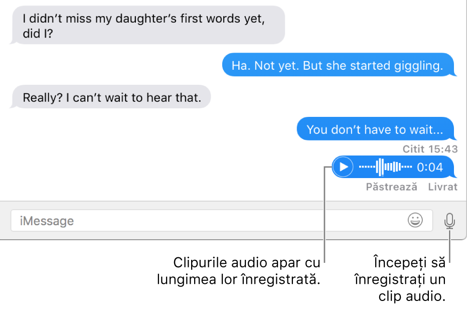 O conversație din fereastra Mesaje, afișând butonul având afișat butonul Soundbite lângă câmpul text din partea de jos a ferestrei.