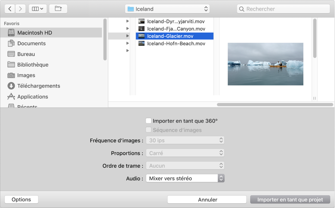Zone de dialogue « Importer en tant que projet »