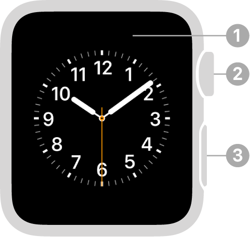 Parte frontal del Apple Watch Series 3 y anterior, con textos que indican la pantalla, la corona Digital Crown y el botón lateral.