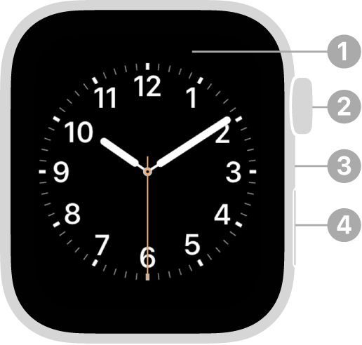 La face avant de l’Apple Watch Series 4 avec des légendes pointant vers l’écran, la couronne Digital Crown, le micro et le bouton latéral.