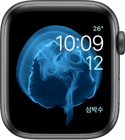 해파리가 나타난 모션 시계 페이스입니다. 움직이는 대상체를 선택하고 여러 가지 컴플리케이션을 추가할 수 있습니다.