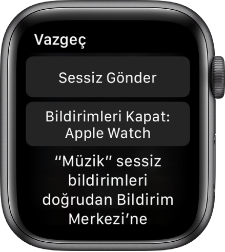 Apple Watch’taki bildirim ayarları. Üstteki düğmenin üzerinde “Sessiz Gönder”, alttaki düğmenin üzerinde “Apple Watch’ta Kapat” yazar.