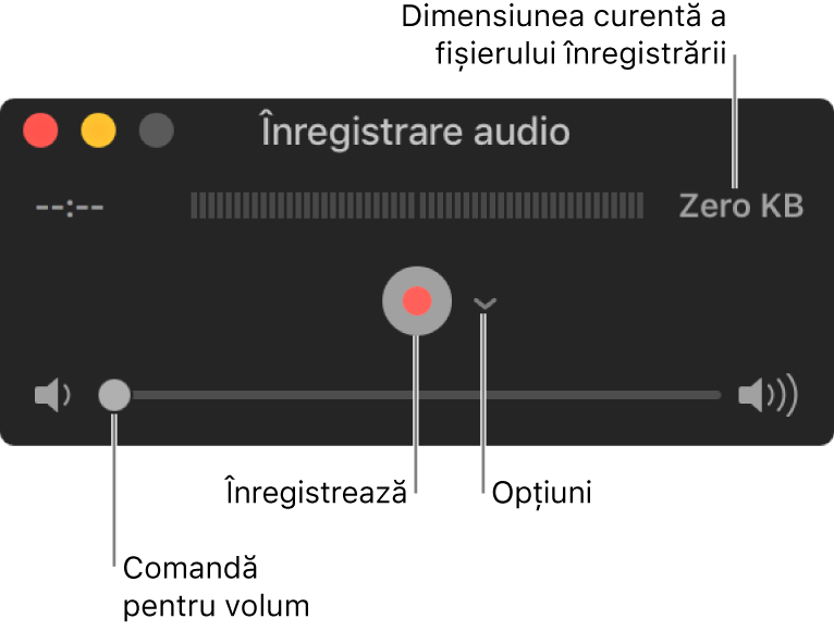 Fereastra Înregistrare audio, cu butonul Înregistrează și meniul pop-up Opțiuni în centrul ferestrei și comanda de volum în partea de jos.