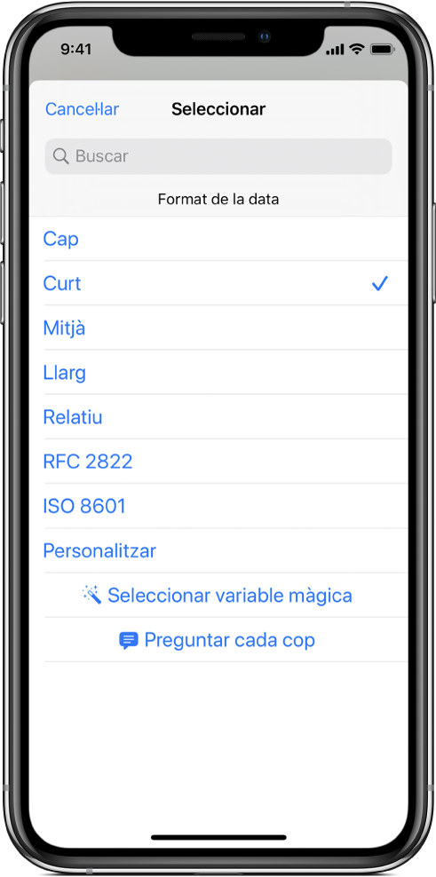Quadre de diàleg de les opcions de “Format de data”.