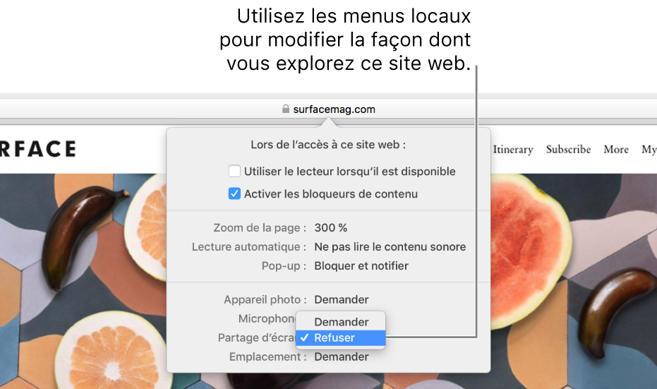 Zone de dialogue s’affichant sous le champ de recherche intelligente lorsque vous choisissez Safari > Réglages pour ce site web. La zone de dialogue contient des options permettant de personnaliser la façon dont vous parcourez le site web actuel. Vous pouvez notamment utiliser la présentation Lecteur, activer les bloqueurs de contenu, et plus encore.