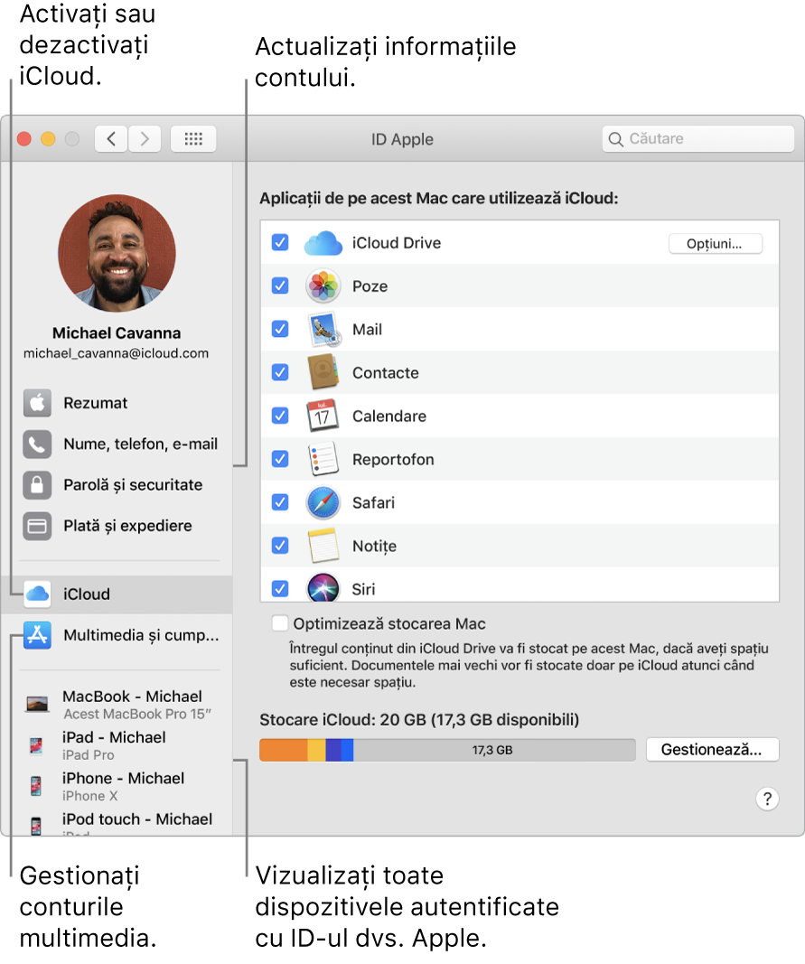 Panoul ID Apple din Preferințe sistem. Faceți clic pe un articol din bara laterală pentru a actualiza informațiile contului dvs., activați sau dezactivați iCloud, gestionați conturile multimedia și vizualizați toate dispozitivele pe care v-ați autentificat cu ID-ul Apple.