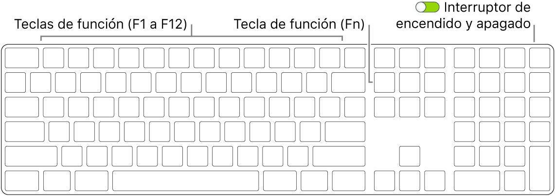 Teclado Magic Keyboard de mostrando la tecla de función (Fn) en la esquina inferior izquierda y el botón de encendido/apagado en la esquina superior derecha del teclado.