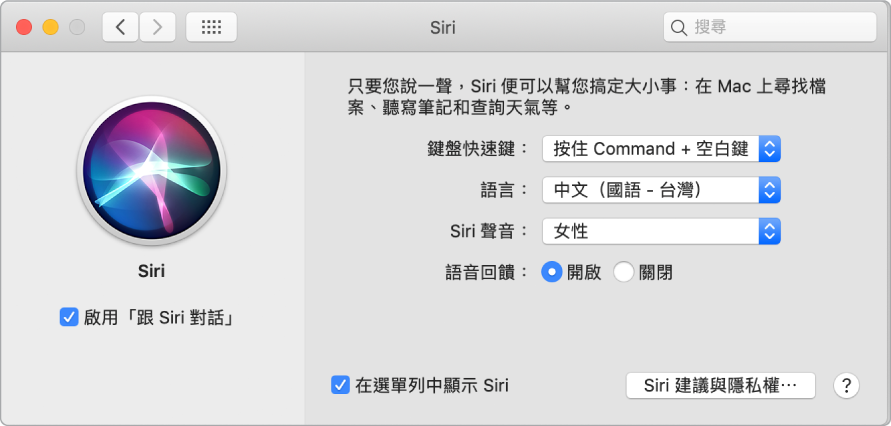 Siri 偏好設定視窗,左側已選擇「啟用跟 Siri 對話」;而右側則是自訂 Siri 的數個選項。