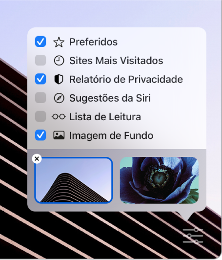 Menu local “Personalizar o Safari” com caixas de seleção para Favoritos, Mais Visitados, Relatório de Privacidade, Sugestões da Siri, Lista de Leitura e Imagem de Fundo.