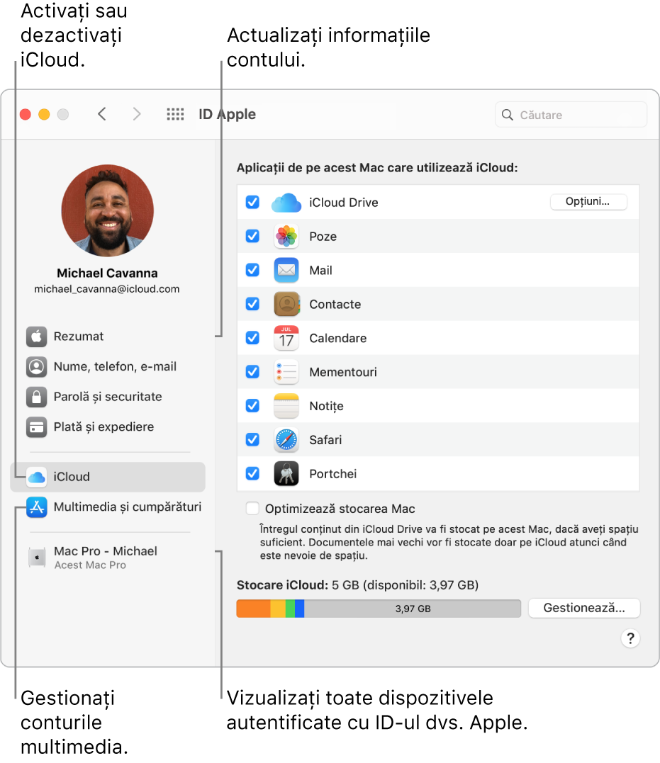 Panoul ID Apple din Preferințe sistem. Faceți clic pe un articol din bara laterală pentru a actualiza informațiile contului dvs., activați sau dezactivați iCloud, gestionați conturile multimedia și vizualizați toate dispozitivele pe care v-ați autentificat cu ID-ul Apple.