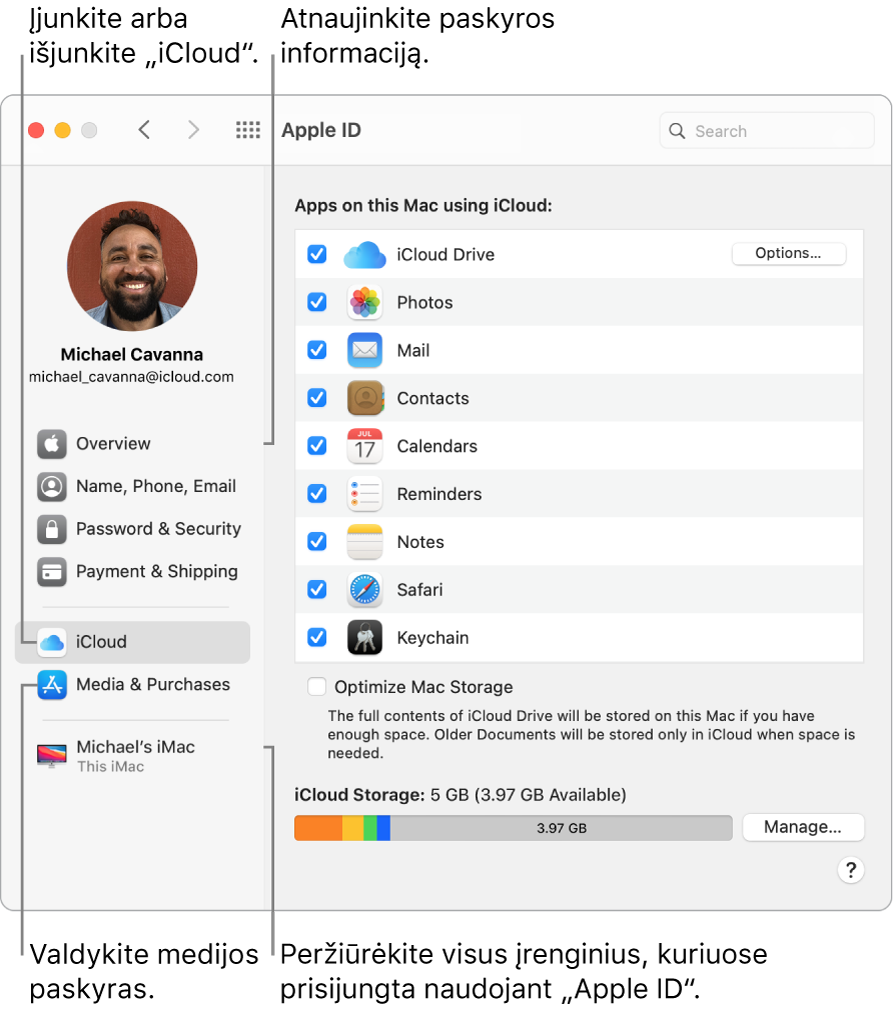 „Apple ID“ sritis skiltyje „System Preferences“. Spustelėkite elementą šoninėje juostoje, kad atnaujintumėte paskyros informaciją, įjungtumėte arba išjungtumėte „iCloud“, tvarkytumėte medijos paskyras ir peržiūrėtumėte visus įrenginius, kuriuose esate prisijungę naudodami „Apple ID“.