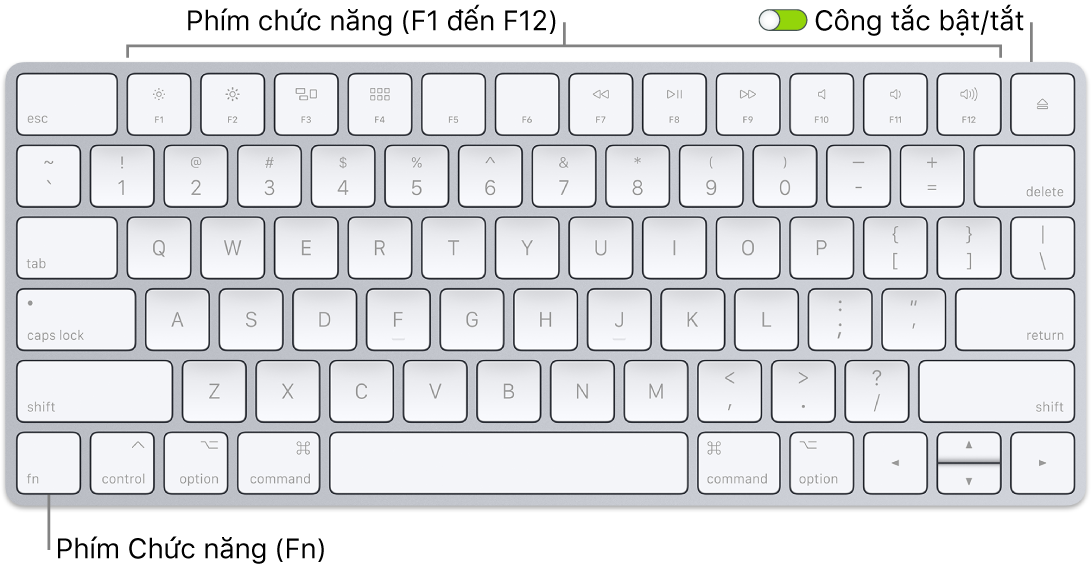 Magic Keyboard đang hiển thị phím Function (Fn) ở góc phía dưới bên trái và công tắc bật/tắt ở góc phía trên bên phải của bàn phím.
