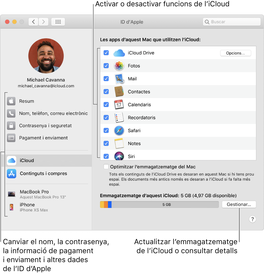 Tauler de preferències iCloud amb totes les funcions seleccionades.