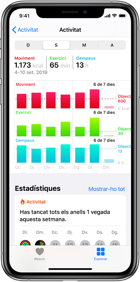 Pantalla de detalls de la categoria Activitat.