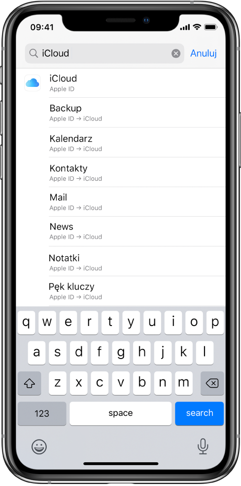 Ekran wyszukiwania ustawień. Na górze ekranu widoczne jest pole wyszukiwania. W polu wyszukiwania wpisana jest fraza „iCloud”, a niżej wyświetlane są znalezione ustawienia.