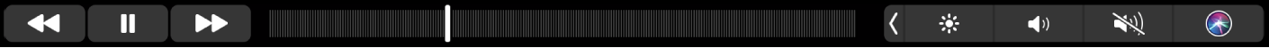 Touch Bar pentru Muzică, cu butoane pentru derularea înapoi, suspendarea sau derularea repede înainte a conținutului redat. Există și o bară de derulare pentru navigarea în cadrul unei melodii.