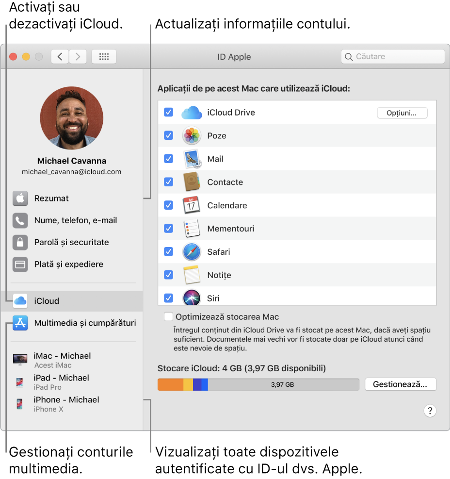 Panoul ID Apple din Preferințe sistem. Faceți clic pe un articol din bara laterală pentru a actualiza informațiile contului dvs., activați sau dezactivați iCloud, gestionați conturile multimedia și vizualizați toate dispozitivele pe care v-ați autentificat cu ID-ul Apple.