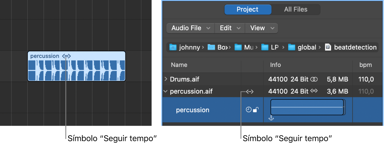 Ilustración. Símbolo “Seguir tempo” en un pasaje de audio, y en el explorador de audio del proyecto.