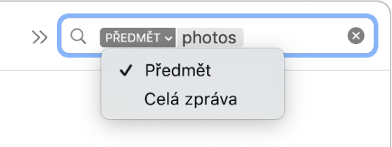U vyhledávacího filtru se po kliknutí na šipku dolů zobrazí dvě volby: Předmět a Celá zpráva. Je vybrána položka Předmět