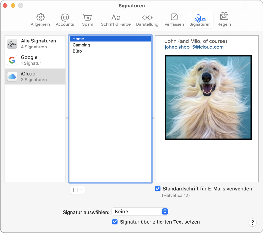 Der Einstellungsbereich für Mail-Signaturen mit einer Signatur, die formatierten Text und ein Bild enthält.