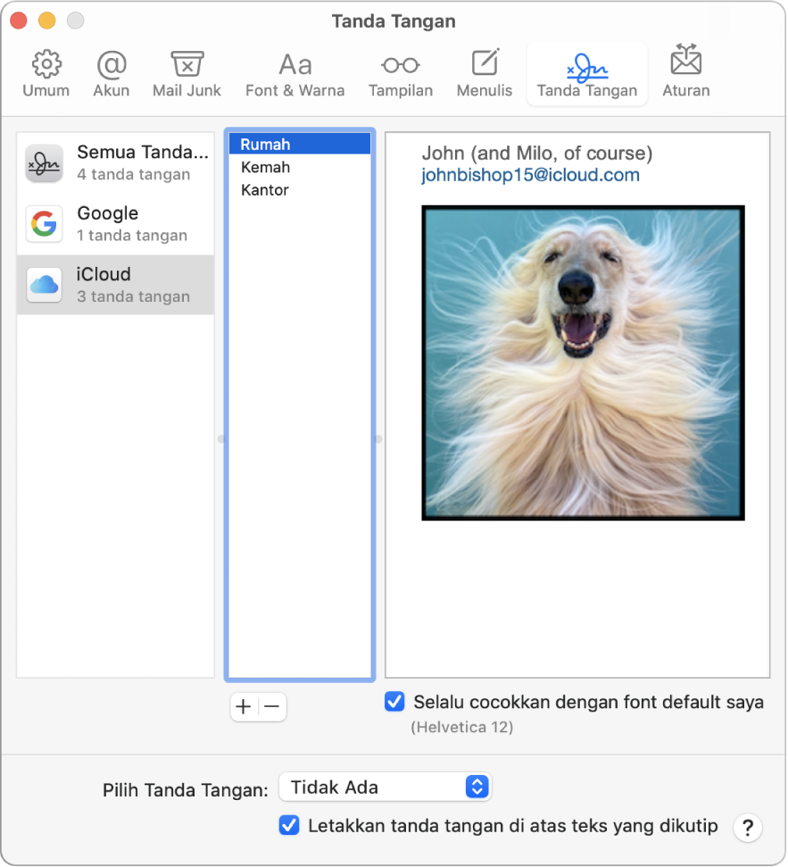 Panel preferensi Tanda Tangan Mail menampilkan tanda tangan yang berisi teks terformat dan gambar.