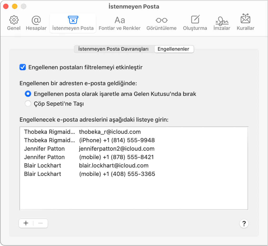 Engellenen gönderenler listesini gösteren Engellenenler tercih bölümü. Engellenen postayı işaretleyip geldikten sonra Gelen Kutusu’nda bırakma seçeneği olduğu için engellenen posta filtrelemeyi etkinleştirme onay kutusu seçilidir.