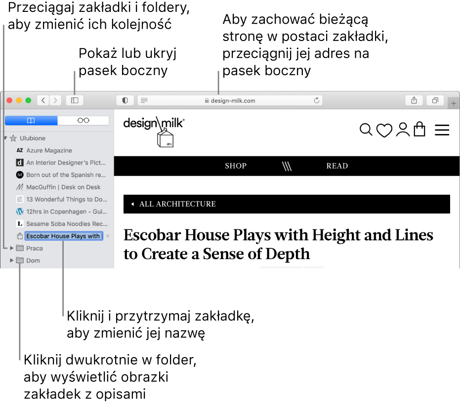 Okno Safari z zakładkami na pasku bocznym. Jedna z zakładek jest zaznaczona do edycji.