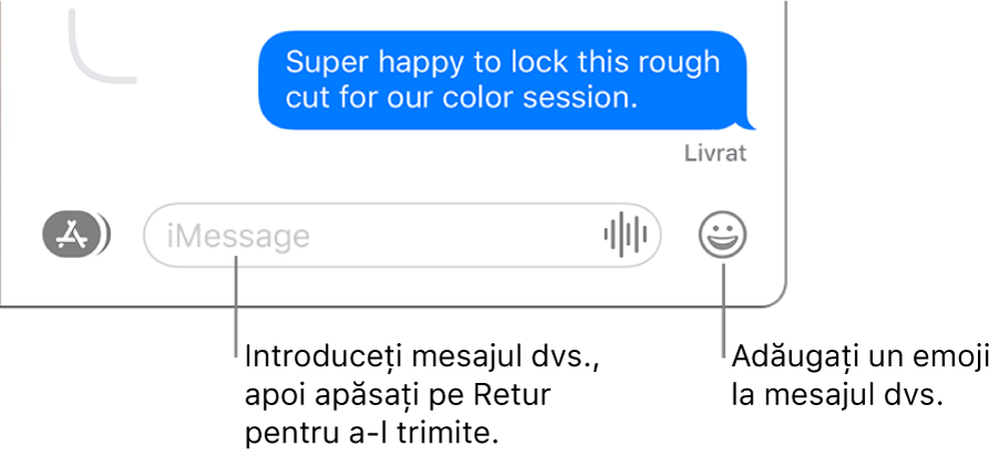 O conversație din fereastra Mesaje, având afișat câmpul text în partea de jos a ferestrei.