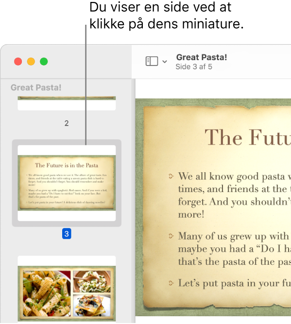 Et PDF-dokument med miniaturer vist i indholdsoversigten.