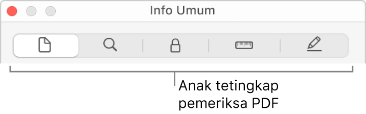 Anak tetingkap pemeriksa PDF.