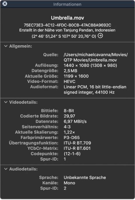 Das Fenster „Filminformation“ mit allgemeinen Informationen über die Datei wie Auflösung, Datenrate und Video- und Audioformat. Im Fenster sind auch Video- und Audiodetails der ausgewählten Datei zu sehen.