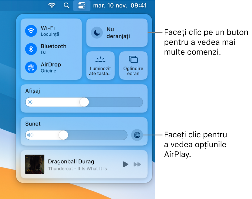 Vizualizare mărită a centrului de control de pe Mac.