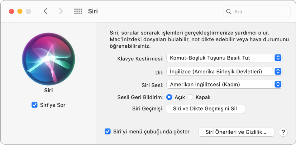 Sol tarafta Siri’yi Etkinleştir seçili halde olan ve sağ tarafta çeşitli Siri’yi özelleştirme seçenekleri bulunan Siri tercihleri penceresi.