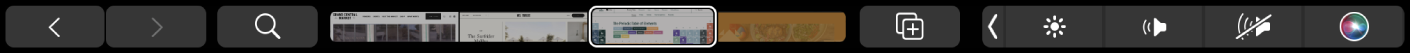 الـ Touch Bar الخاص بتطبيق Safari ويظهر فيه زرا الخلف والأمام، وزر البحث، ومؤشر علامات التبويب، وزر إضافة إشارة مرجعية.
