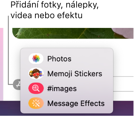 Nabídka Aplikace s volbami pro zobrazení fotek, nálepek s memoji, GIFů a efektů ve zprávách.