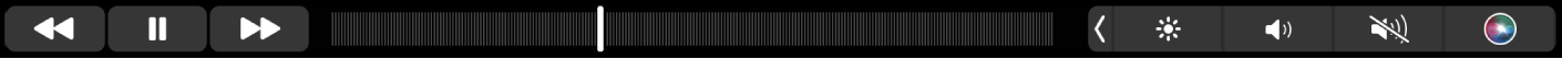 Touch Bar til Musik med knapper til at spole tilbage, holde pause eller spole frem i det, som afspilles. Der er også et rullefelt til navigation i en sang.
