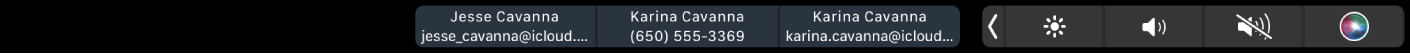 Touch Bar de FaceTime mostrando botones para obtener información de un contacto, para realizar una llamada de video o una llamada de audio, o para enviar mensajes y correos.