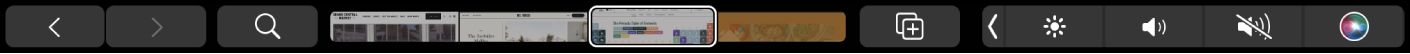 Touch Bar de Safari con las flechas Atrás y Adelante, el botón de búsqueda, la barra de arrastre de pestañas y el botón "Agregar marcador".
