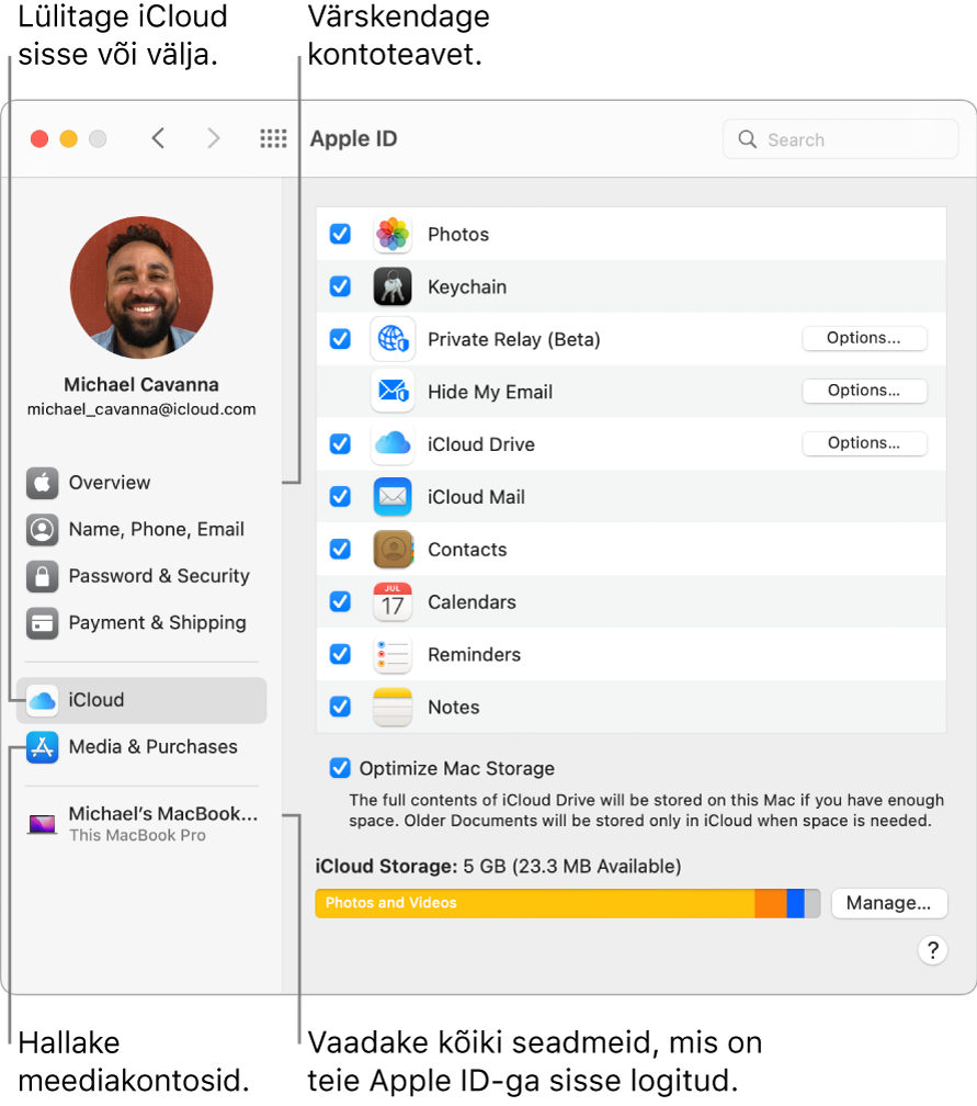 Apple ID paan jaotises System Preferences. Oma kontoinfo uuendamiseks, iCloudi sisse või välja lülitamiseks, meediakontode haldamiseks või kõikide teie Apple ID-ga sisselogitud seadmete kuvamiseks klõpsake vastaval küljeriba üksusel.