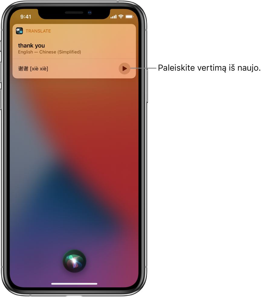 „Siri“ rodo angliškos frazės „thank you“ (ačiū) vertimą į mandarinų kalbą. Į dešinę nuo vertimo esantis mygtukas pakartoja garsinį vertimą.