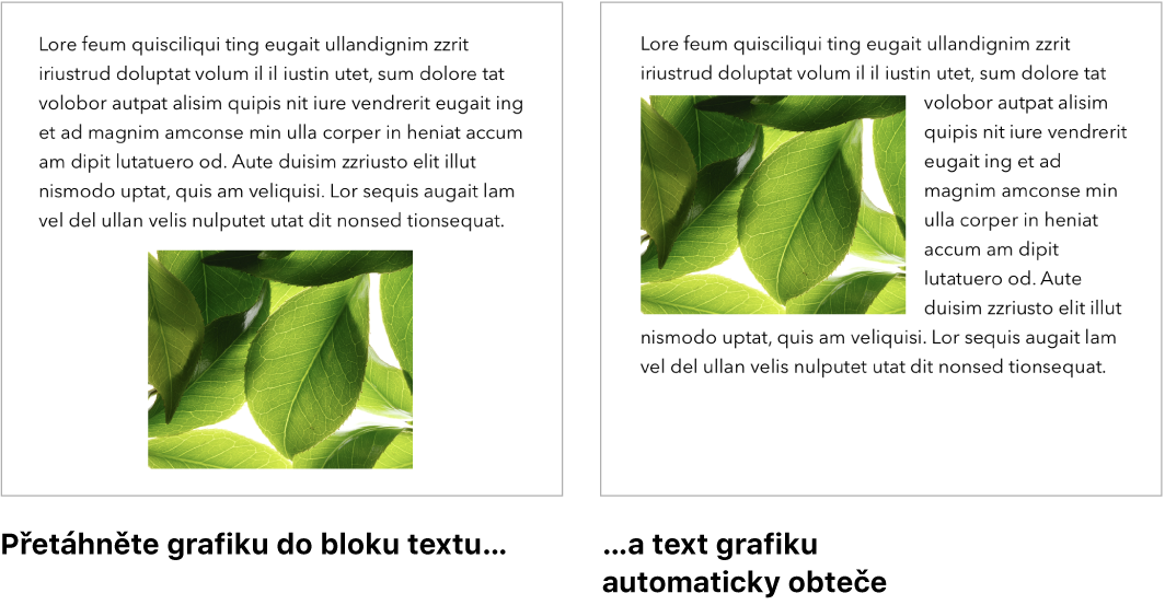 Okno Pages s ukázkou zalomení textu okolo grafiky