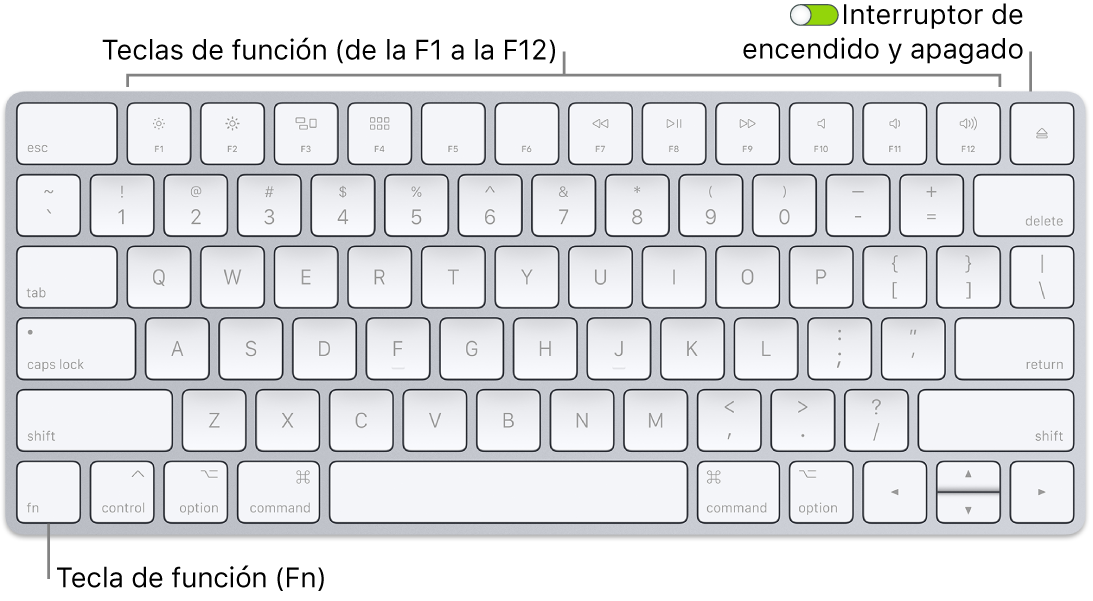 Teclado Magic Keyboard con la tecla de función (Fn) en la esquina inferior izquierda y el interruptor de encendido/apagado en la esquina superior derecha del teclado.