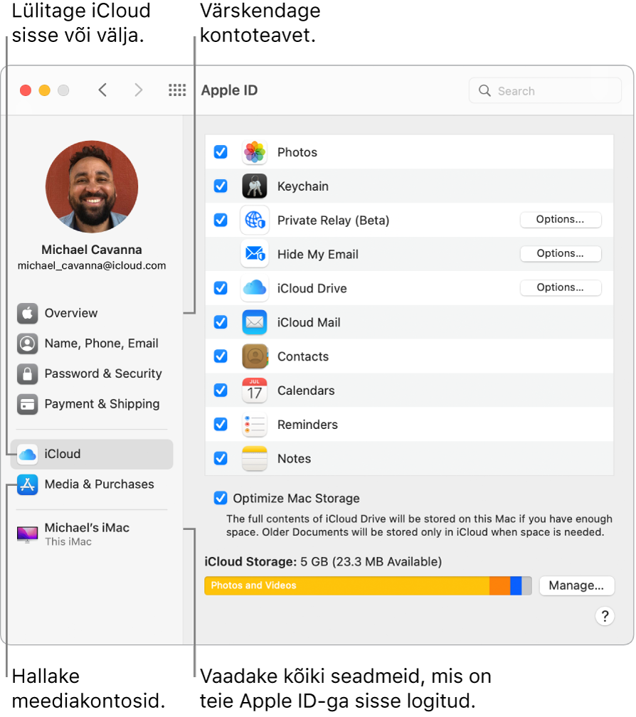 Apple ID paan jaotises System Preferences. Oma kontoinfo uuendamiseks, iCloudi sisse või välja lülitamiseks, meediakontode haldamiseks ning kõikide teie Apple ID-ga sisselogitud seadmete kuvamiseks klõpsake vastaval küljeriba üksusel.
