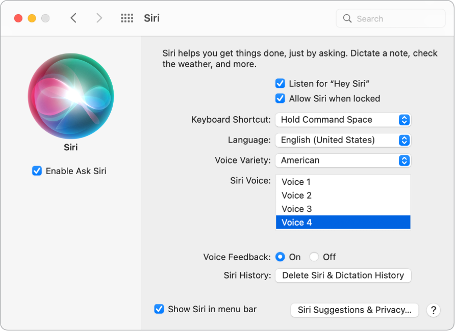 La fenêtre des préférences Siri, avec l’option Activer Demander à Siri sélectionnée à gauche et plusieurs options pour personnaliser Siri à droite, notamment Détecter « Dis Siri ».